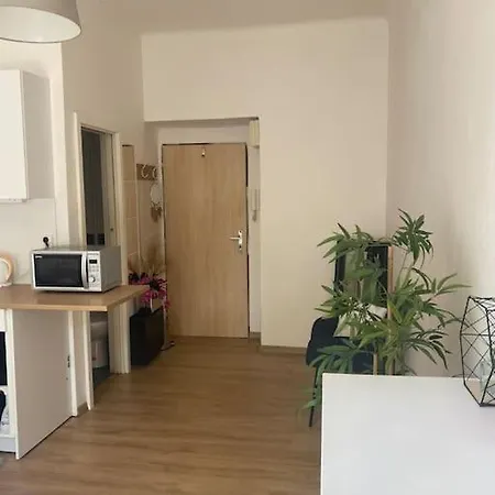 Cozy Apt Near Castle Appartement